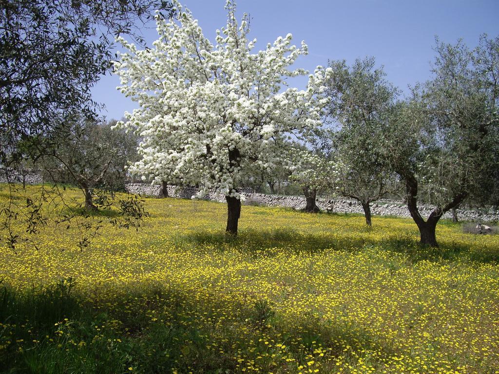 Trulli Convertini Aparthotel *